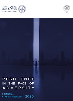 Financial Stability Report